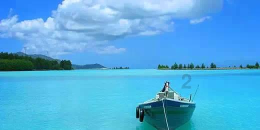 三亚海边沙滩发现受伤绿海龟，民警帮其“养病”后顺利放归大海！