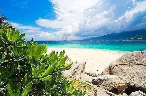 入门即高配卷出新高度 型格斩获大湾区单月销冠