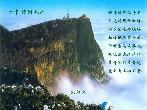 救援卡通老虎