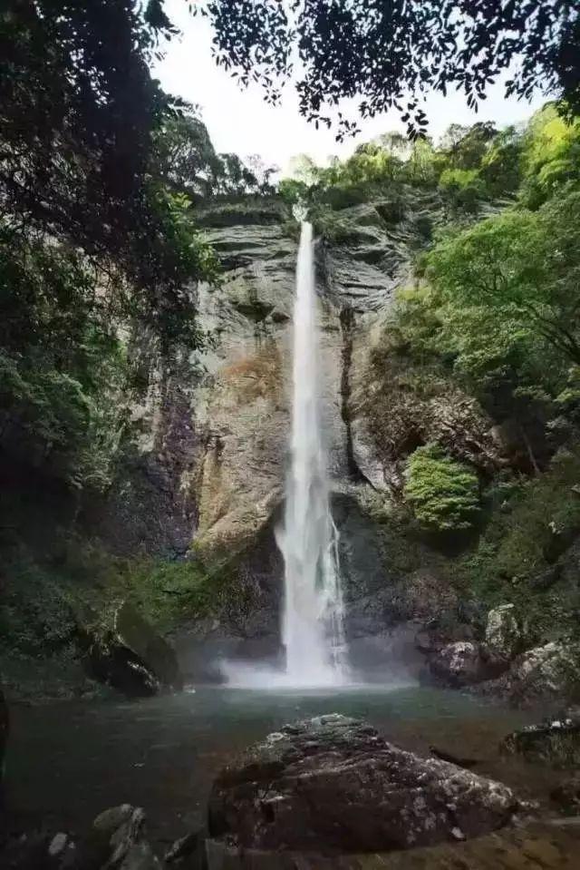 亿万僵尸