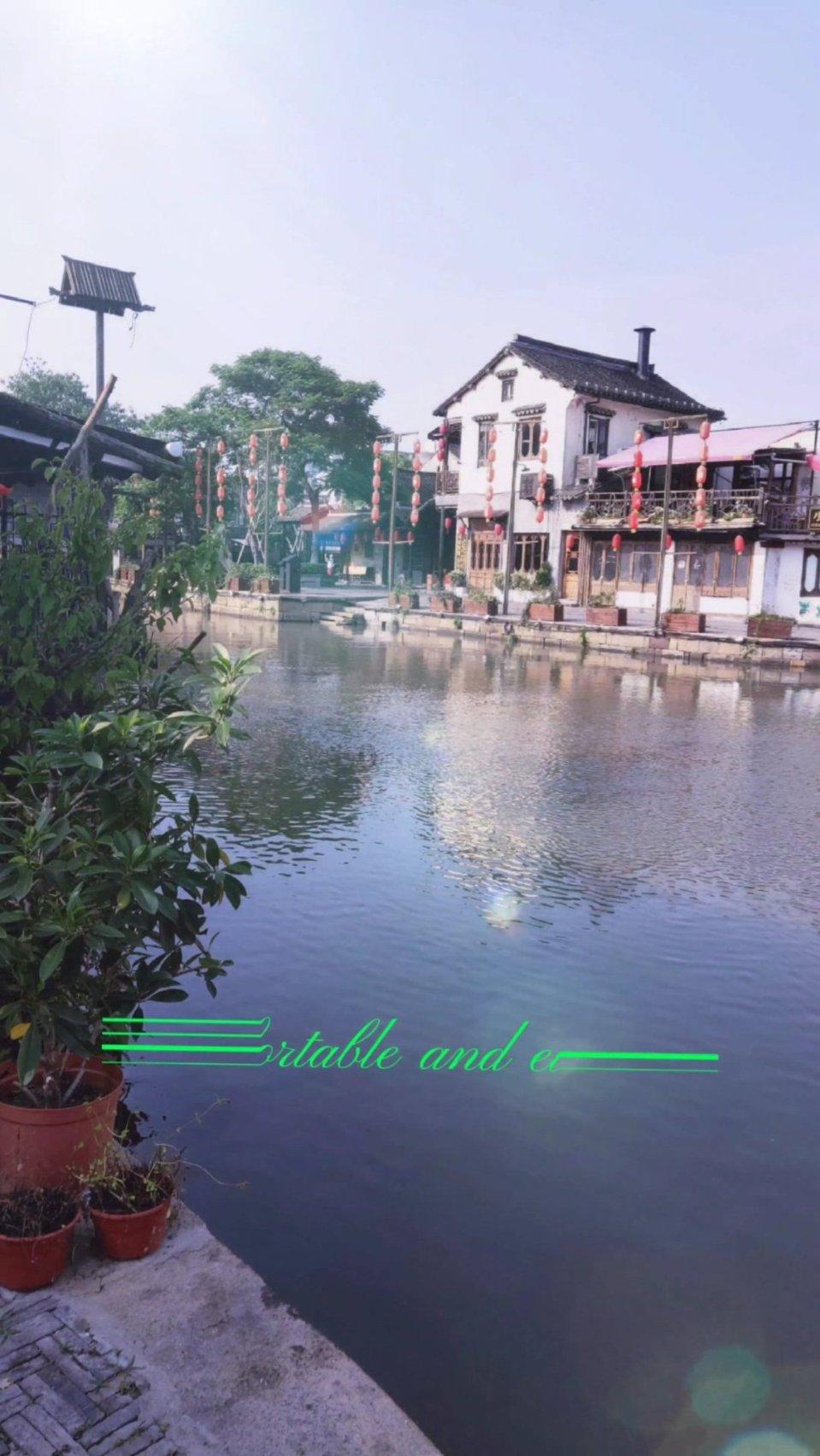 搭好遮阴棚,让平地露天种植的兰花安全过冬